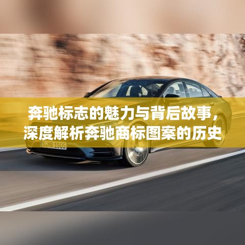 案例展示 第10页
