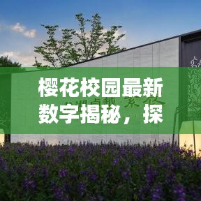 樱花校园最新数字揭秘，探索新纪元，无限精彩等你发现！