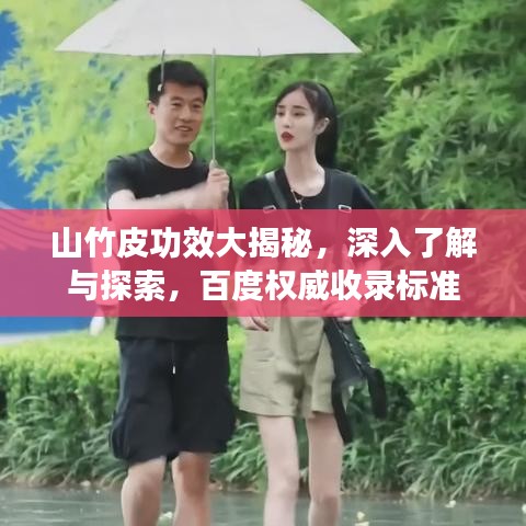 山竹皮功效大揭秘，深入了解与探索，百度权威收录标准
