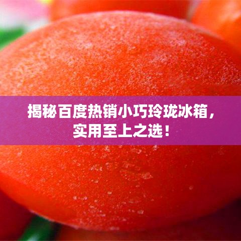 揭秘百度热销小巧玲珑冰箱，实用至上之选！
