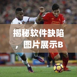 揭秘软件缺陷，图片展示Bug不断，修复的重要性不容忽视