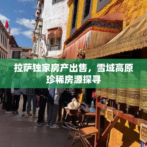 在线留言 第8页