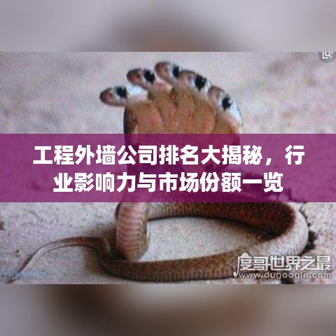 工程外墙公司排名大揭秘，行业影响力与市场份额一览