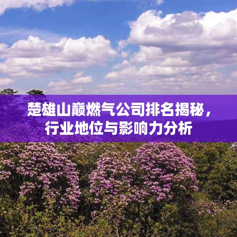 楚雄山巅燃气公司排名揭秘，行业地位与影响力分析