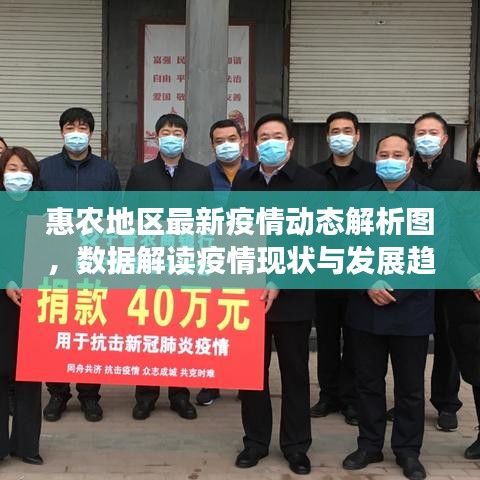 惠农地区最新疫情动态解析图，数据解读疫情现状与发展趋势