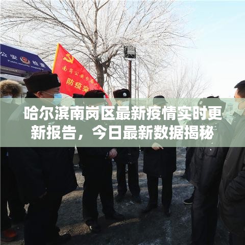 哈尔滨南岗区最新疫情实时更新报告，今日最新数据揭秘