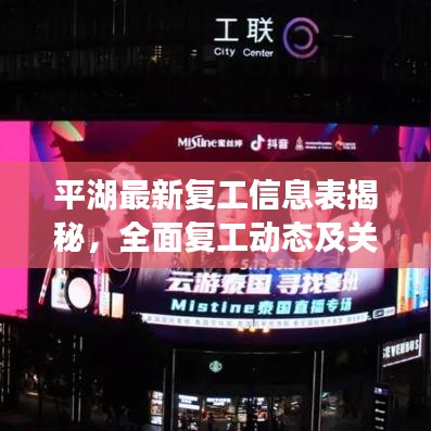 平湖最新复工信息表揭秘，全面复工动态及关键数据一网打尽