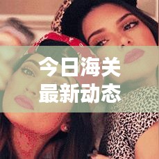 今日海关最新动态概览