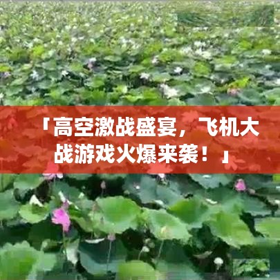 「高空激战盛宴，飞机大战游戏火爆来袭！」