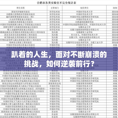 趴着的人生，面对不断崩溃的挑战，如何逆袭前行？