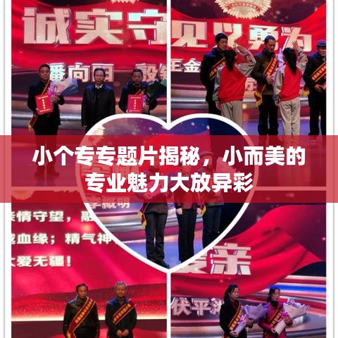 小个专专题片揭秘，小而美的专业魅力大放异彩