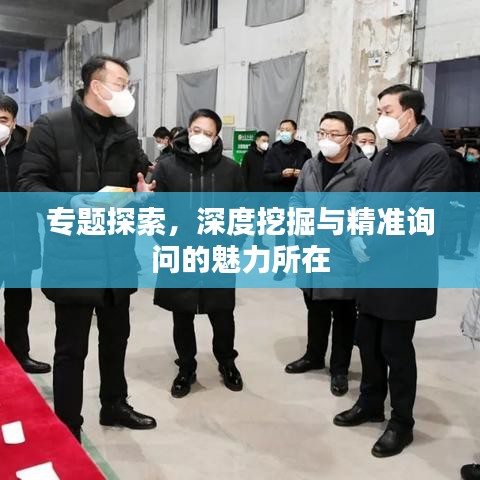 专题探索，深度挖掘与精准询问的魅力所在