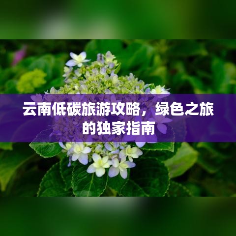 云南低碳旅游攻略，绿色之旅的独家指南