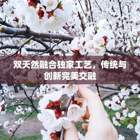 双天然融合独家工艺，传统与创新完美交融