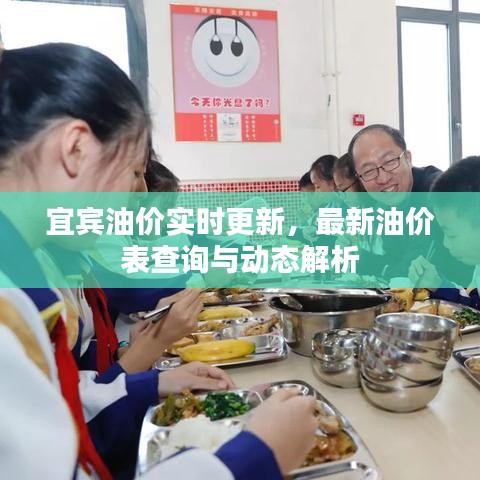 宜宾油价实时更新，最新油价表查询与动态解析