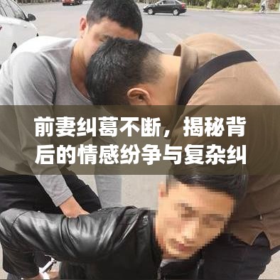 前妻纠葛不断，揭秘背后的情感纷争与复杂纠葛