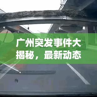 广州突发事件大揭秘，最新动态一网打尽！