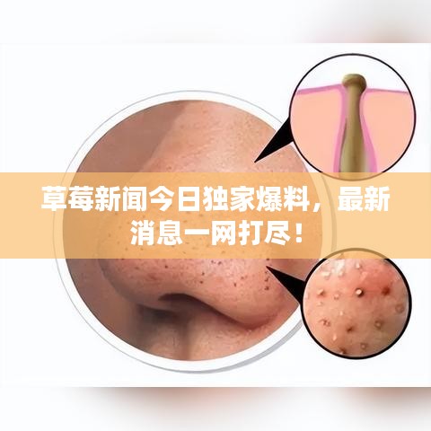 草莓新闻今日独家爆料，最新消息一网打尽！