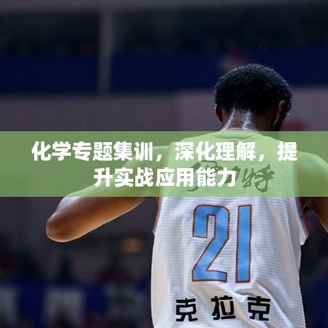 化学专题集训，深化理解，提升实战应用能力