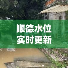 顺德水位实时更新，最新动态一网打尽