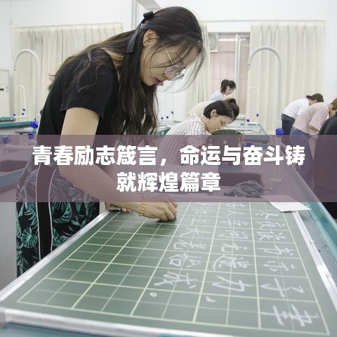 青春励志箴言，命运与奋斗铸就辉煌篇章