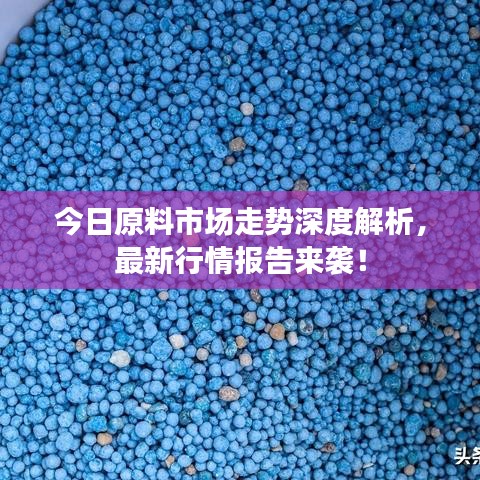 今日原料市场走势深度解析，最新行情报告来袭！
