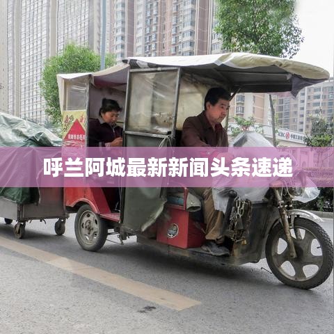 呼兰阿城最新新闻头条速递