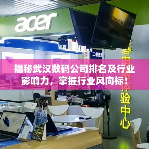 揭秘武汉数码公司排名及行业影响力，掌握行业风向标！