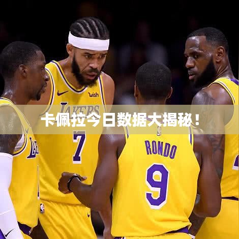 卡佩拉今日数据大揭秘！