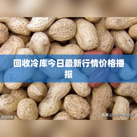事必躬亲