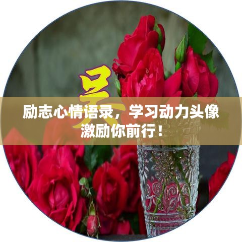 励志心情语录，学习动力头像激励你前行！