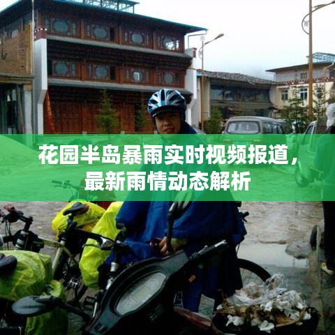 花园半岛暴雨实时视频报道，最新雨情动态解析