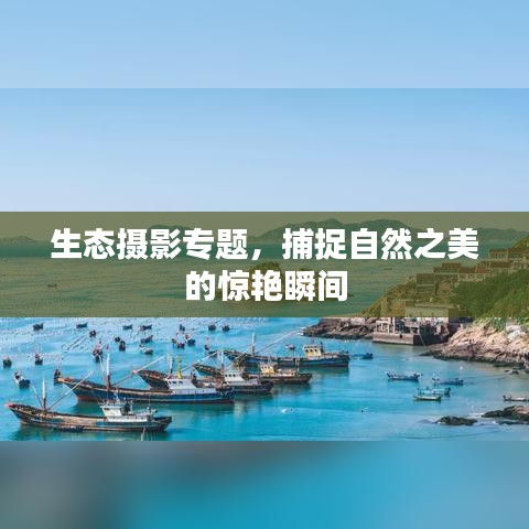 生态摄影专题，捕捉自然之美的惊艳瞬间