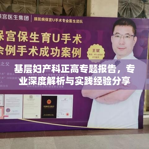 基层妇产科正高专题报告，专业深度解析与实践经验分享