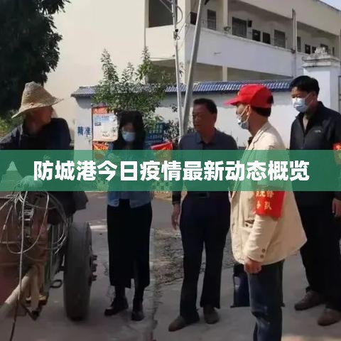 防城港今日疫情最新动态概览