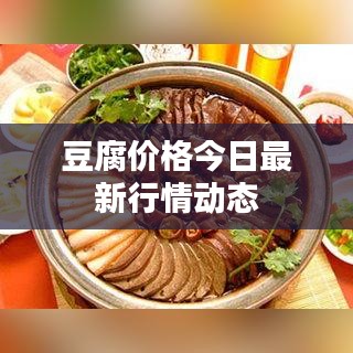 豆腐价格今日最新行情动态