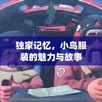独家记忆，小鸟服装的魅力与故事