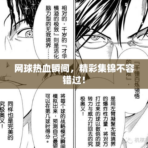 网球热血瞬间，精彩集锦不容错过！