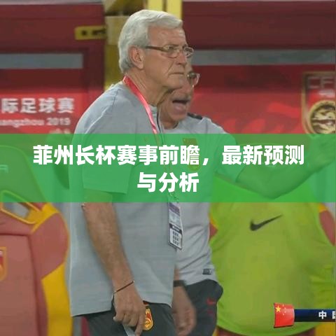 菲州长杯赛事前瞻，最新预测与分析