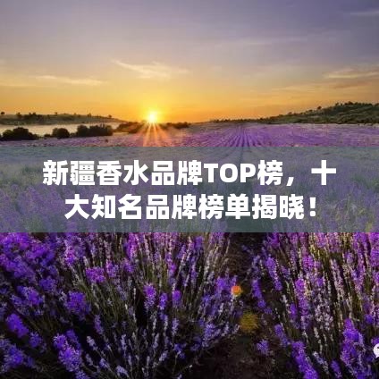 2025年6月 第9页
