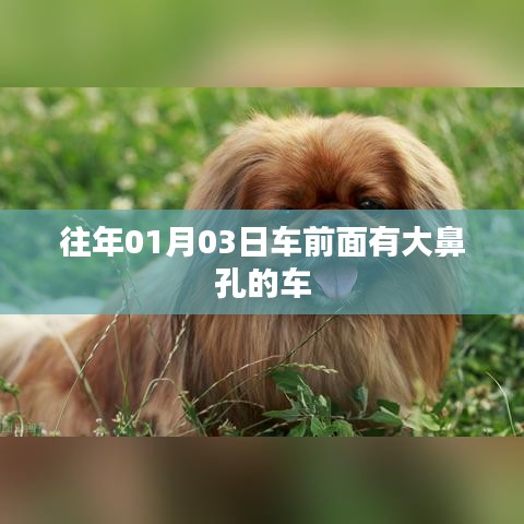 车前面设计有大鼻孔的前脸造型