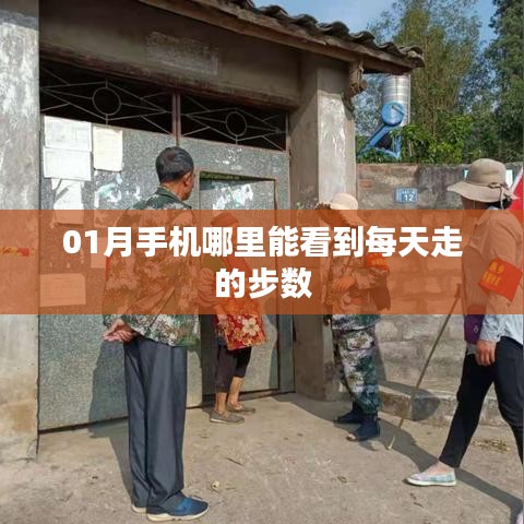 手机查看每日步数统计攻略