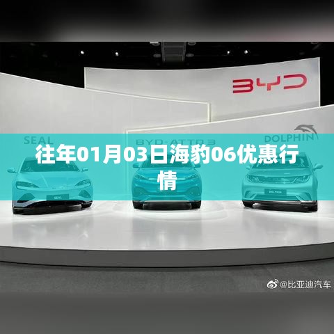 往年元旦后海豹车型优惠行情揭秘