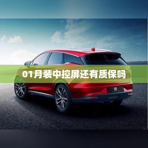 一月安装中控屏的质保问题
