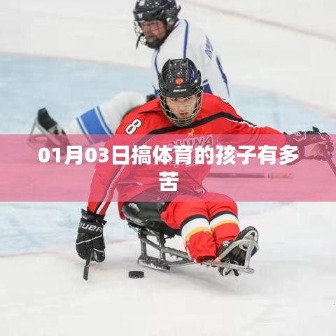 搞体育的孩子背后的辛酸与挑战