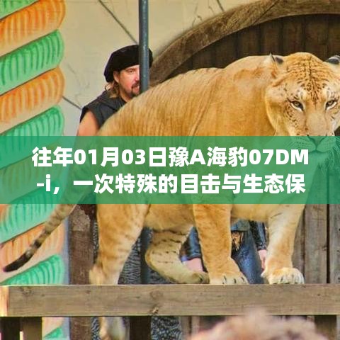 豫A海豹目击事件，生态保护引发深思