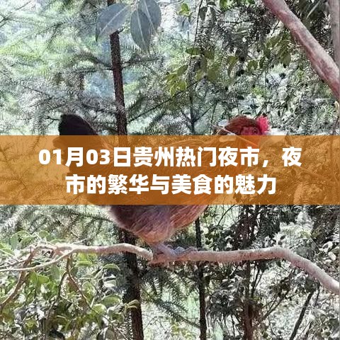 贵州热门夜市，夜市的繁华与美食诱惑