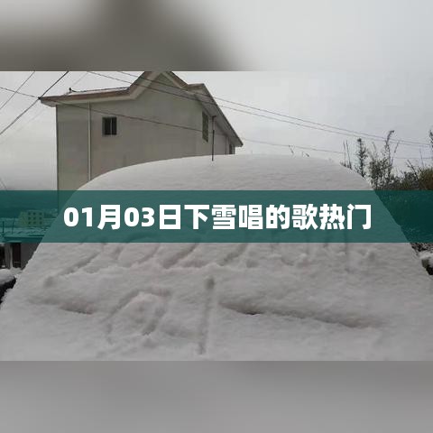 冬日雪落之际，热门歌曲推荐