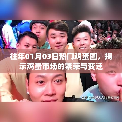 鸡蛋市场繁荣变迁揭秘，历年热门鸡蛋图回顾
