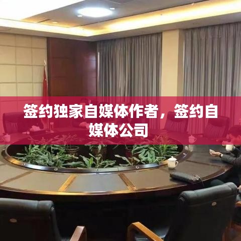 签约独家自媒体作者，签约自媒体公司 